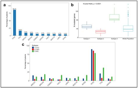 Deep Neural Network Integrated into Network-Based Stratification (D3NS ...