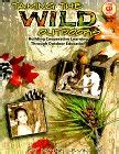 Buy Taming the Wild Outdoors: Building Cooperative Learning Through ...