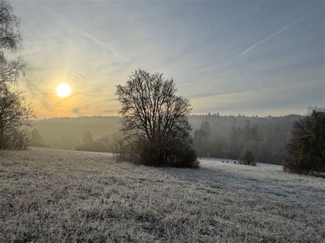 Practical Volunteer Task on Park Downs, Park Downs Practical Work Party ...