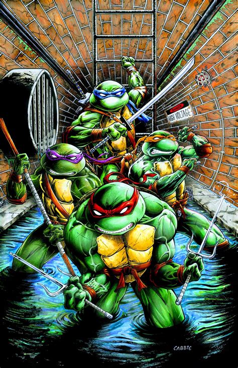 TMNT, Teenage Mutant Ninja Turtles | Teenage mutant ninja turtles ...
