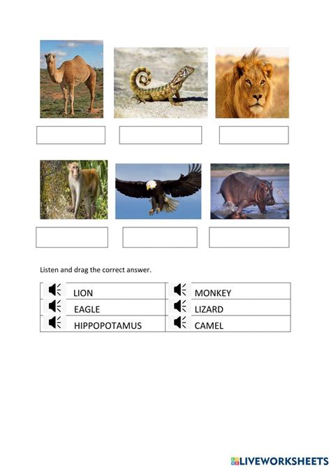 Image result for Physical Science Worksheets for Pre