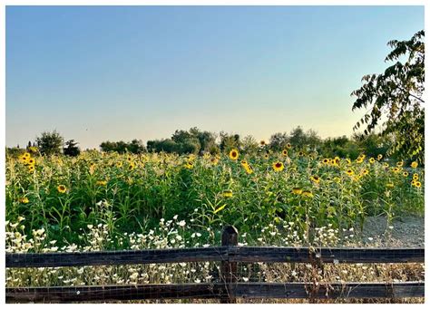 AROGGIA FARM (Platonas) - Lodging Reviews, Photos, Rate Comparison ...