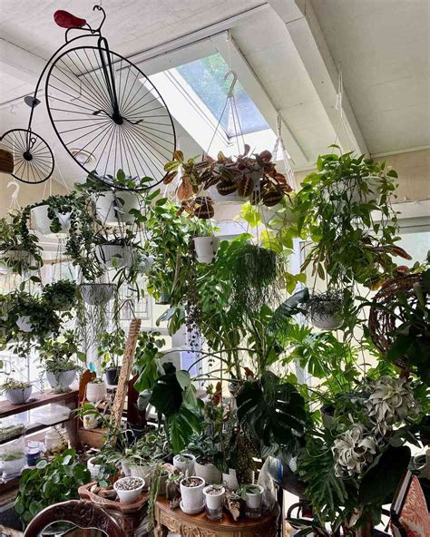 Plant Themed Room