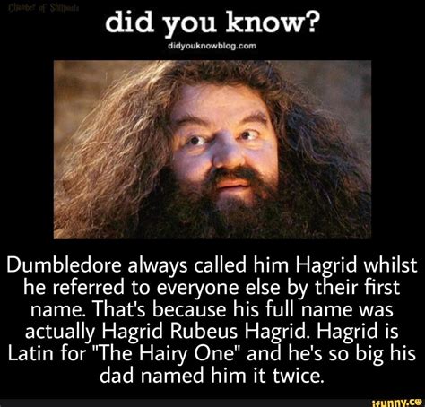 Did you know? Dumbledore always called him id whilst he referred to ...