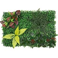 Image result for 6 Steps Problem Solving Polya