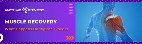 Muscle Recovery What Happens During the Process - Anytime Fitness