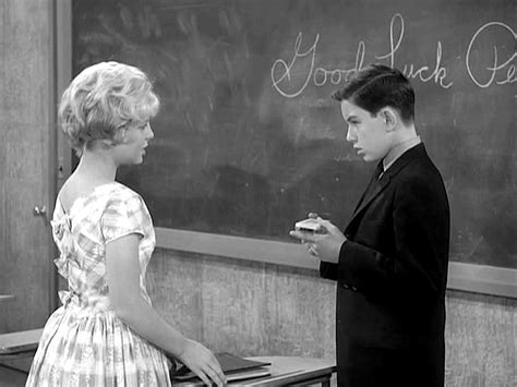 The Twelve Best LEAVE IT TO BEAVER Episodes of Seasons Five & Six ...