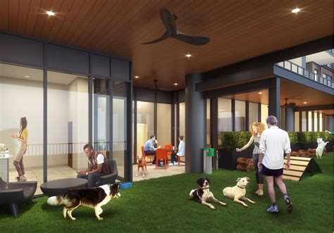 Luxury Apartments for Rent in Downtown Durham | The Novus