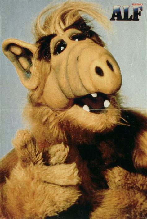 alf insurance