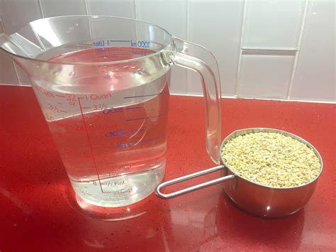 Steel Cut Oats Water Ratio | The Tube