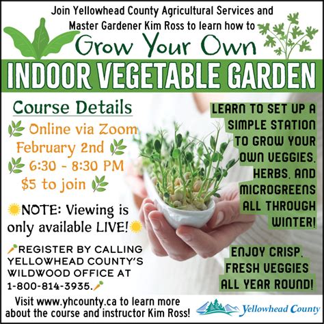 Growing Vegetables Indoors - Yellowhead County