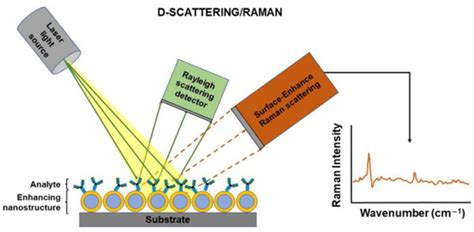 A review of Optical Point-of-Care devices to Estimate the Technology ...