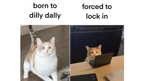 Born to Dilly Dally, Forced to Lock In | Know Your Meme