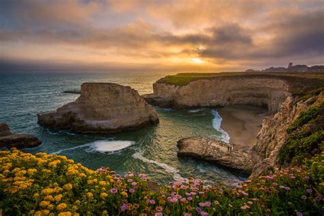 Download Sea Ocean California Santa Cruz Coastline Coast Shark Fin Cove ...