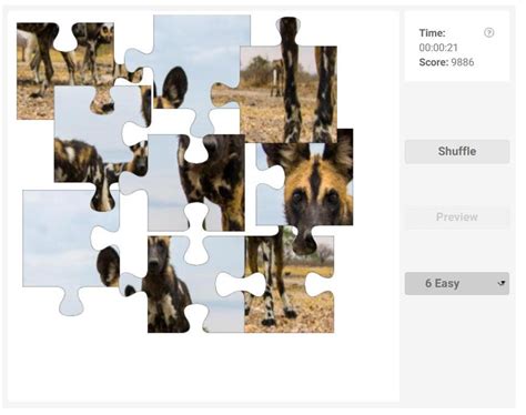African Wild Dog Jigsaw Puzzle Game | Olympiad tester