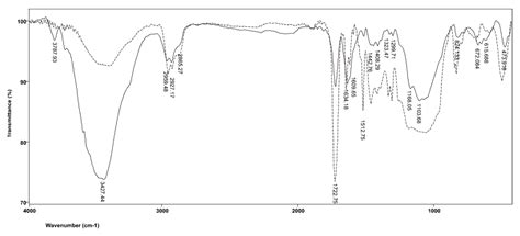 Influence of Dimethacrylate Monomer on the Polymerization Efficacy of ...