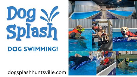 Image result for Go Fetch