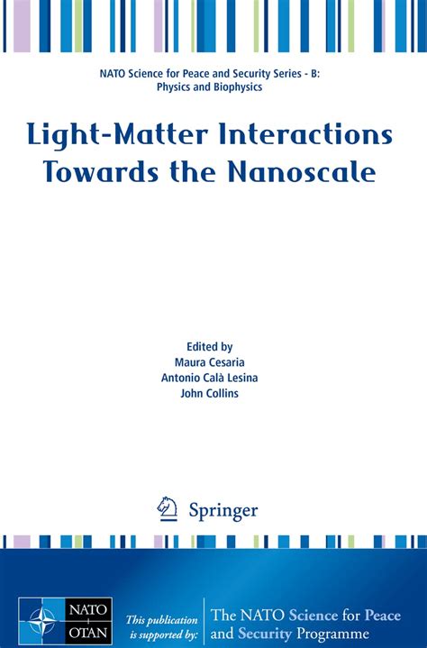 Light-Matter Interactions Towards the Nanoscale (NATO Science for Peace ...