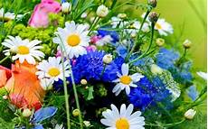frasi e fiori frasi citazioni e aforismi sui fiori aforisticamente frasi e fiori frasi citazioni e aforismi sui fiori aforisticamente