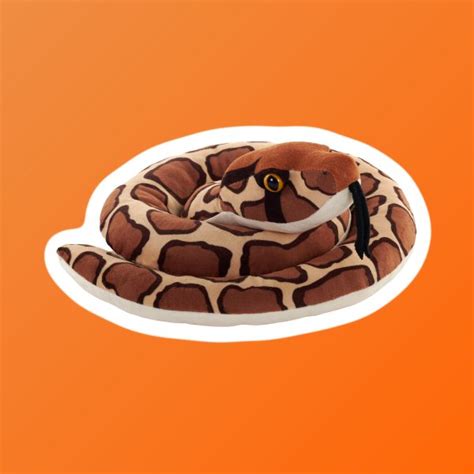 Image result for Zoo Burmese Python Snake