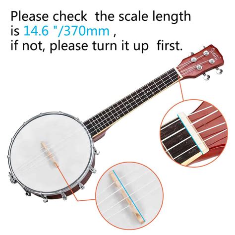 Image result for 4 String Banjo Tune