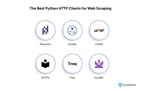 Image result for Python HTTP Clients Example