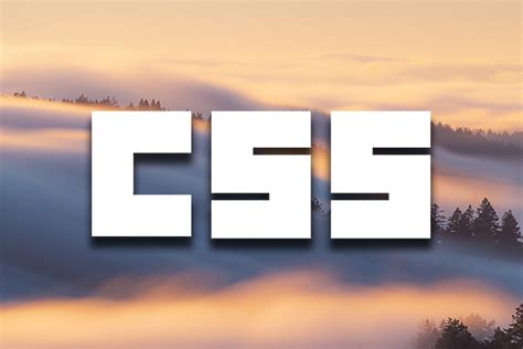 View Transitions API Angular 的图像结果