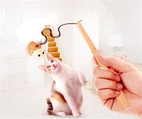 Buy PETS EMPIRE Cat Teaser Kitten Toys Set - LukPaw Natural Sisal Wand ...