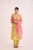 Dienne Kurta Light Yellow Pink – Sampada