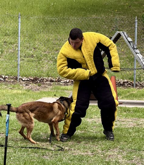 Barron County Sheriff's Department - Press Release: Huber Walk Away On ...