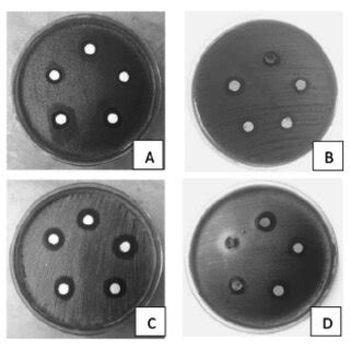 Image result for Well Diffusion Method