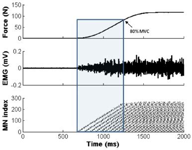 Image result for What Is Rate Coding