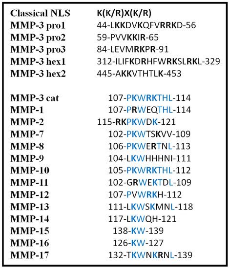 Unravelling the Network of Nuclear Matrix Metalloproteinases for ...