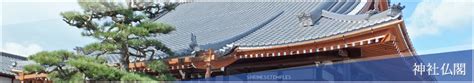 Image result for Reports in SQL Query Example