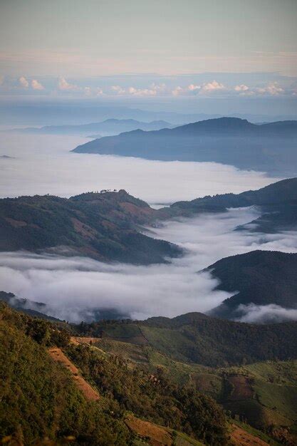 Beautiful Morning View 的图像结果