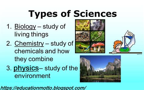Types of Science 的图像结果