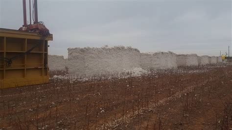 Image result for Loading Cotton Modules