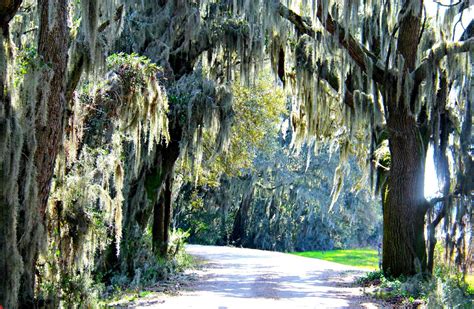THE 10 BEST Hardeeville Accessible Hotels 2026 (with Prices)