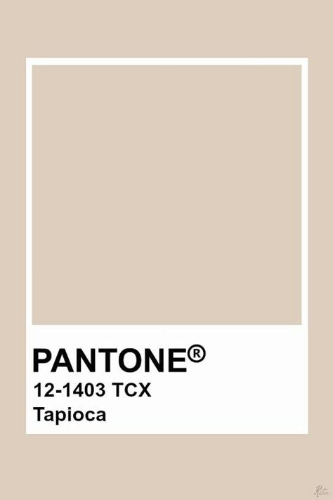 Image result for Colors in Python Program