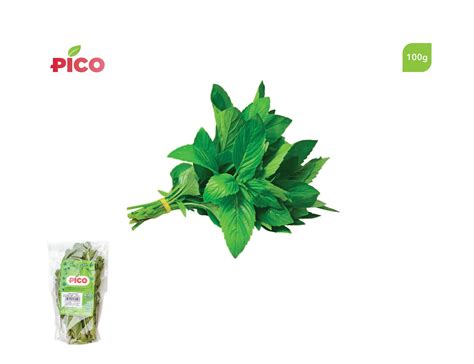 Buy Pico Mint, 100g Online in Egypt | Talabat Egypt