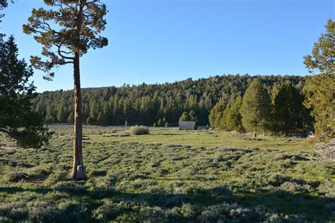 Holcomb Valley Ranch - Big Bear Lake, California