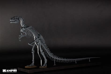 アロサウルス 縮小全身骨格レプリカ Allosaurus, miniature whole body skeleton replica ...