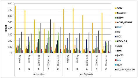 Transcriptome Analyses in Adult Olive Trees Indicate Acetaldehyde ...