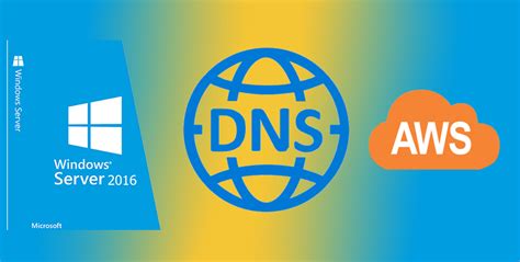 Why Windows Server 2016 In AWS Unable To Resolve Public And Local DNS