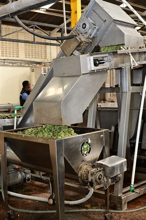 Image result for Small Avocado Vegetable Oil Processing