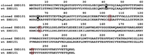 Effective Zearalenone Degradation in Model Solutions and Infected Wheat ...