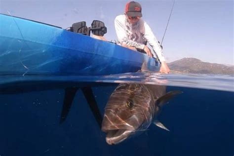 Image result for Catching Big Fish Tips