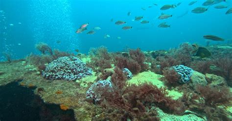 Anything but a fish tale | U.S. Fish & Wildlife Service