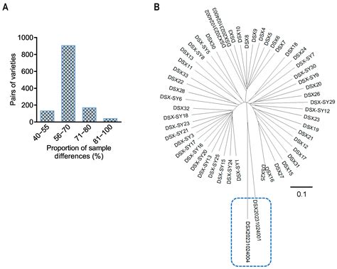 Genetic Monitoring of the Endangered Acipenser dabryanus Using a High ...