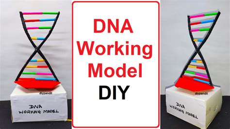 Image result for DNA DIY